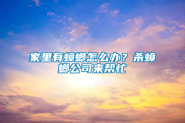 家里有蟑螂怎么辦?殺蟑螂公司來幫忙