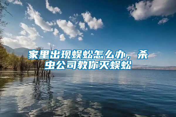 家里出現(xiàn)蜈蚣怎么辦，殺蟲公司教你滅蜈蚣