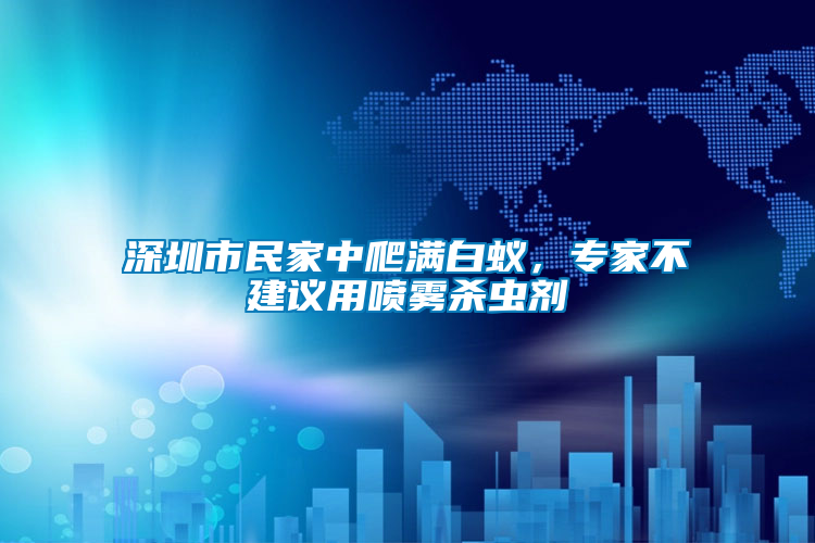 深圳市民家中爬滿白蟻，專家不建議用噴霧殺蟲劑