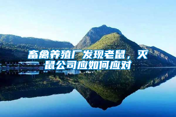 畜禽養殖廠發現老鼠,滅鼠公司應如何應對