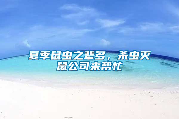 夏季鼠蟲之輩多，殺蟲滅鼠公司來幫忙