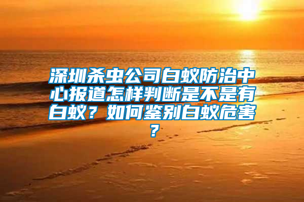 深圳殺蟲公司白蟻防治中心報道怎樣判斷是不是有白蟻?如何鑒別白蟻危害?