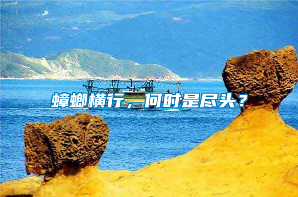 蟑螂橫行,何時是盡頭?