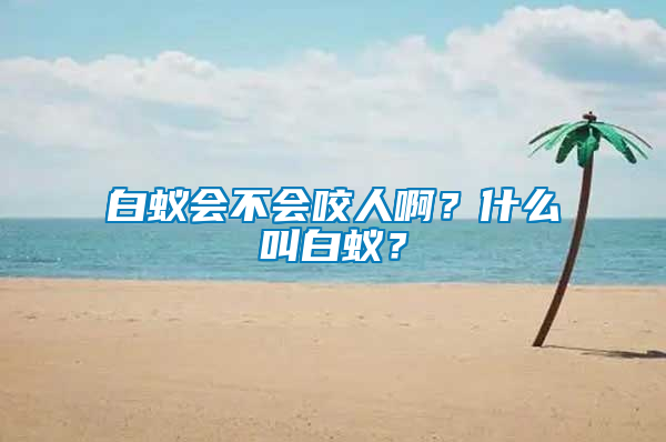 白蟻會不會咬人啊?什么叫白蟻?