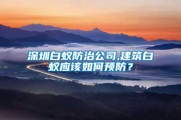深圳白蟻防治公司,建筑白蟻應該如何預防?