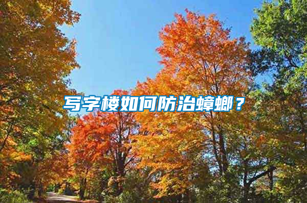寫字樓如何防治蟑螂?