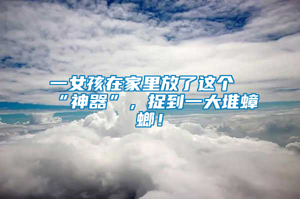 一女孩在家里放了這個“神器”,捉到一大堆蟑螂!
