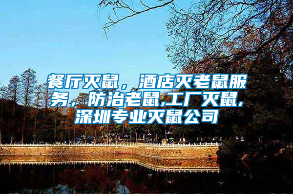 餐廳滅鼠,酒店滅老鼠服務,防治老鼠,工廠滅鼠,深圳專業滅鼠公司