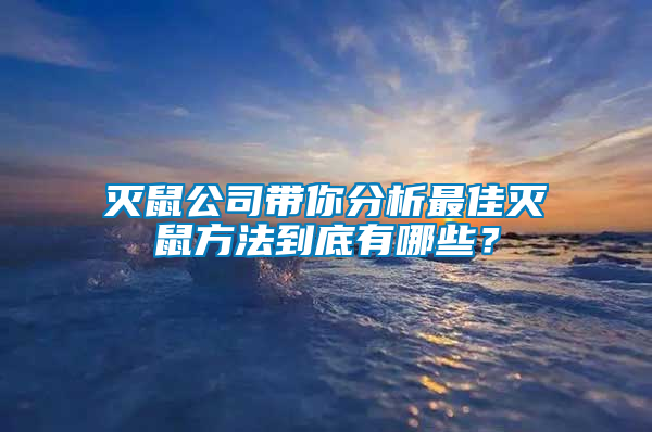 滅鼠公司帶你分析最佳滅鼠方法到底有哪些?