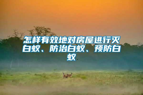 怎樣有效地對(duì)房屋進(jìn)行滅白蟻、防治白蟻、預(yù)防白蟻