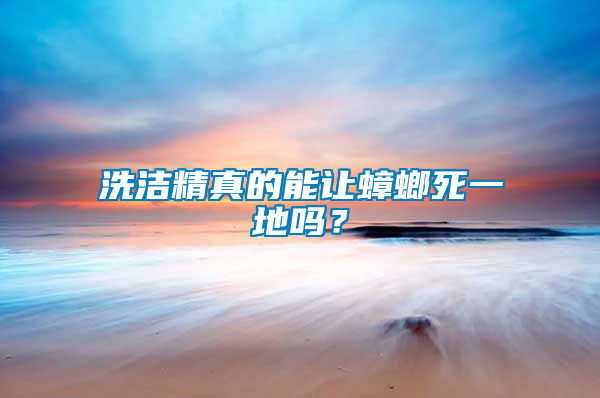 洗潔精真的能讓蟑螂死一地嗎?