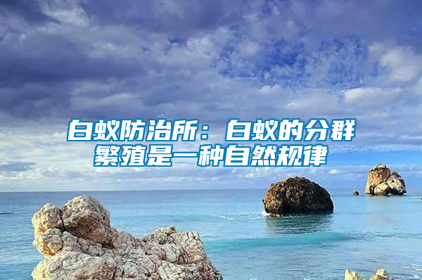 白蟻防治所:白蟻的分群繁殖是一種自然規律