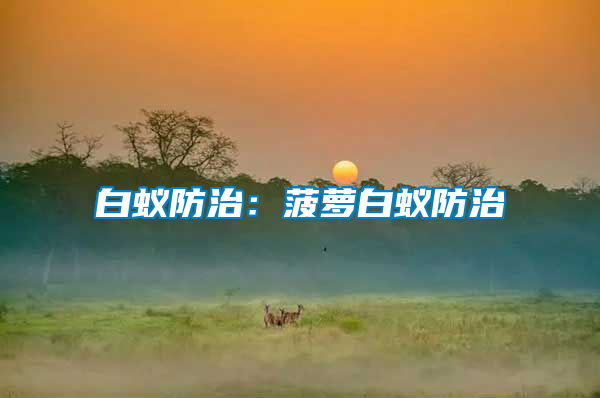 白蟻防治:菠蘿白蟻防治