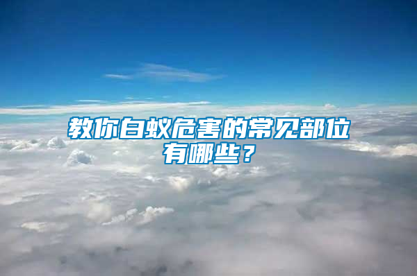 教你白蟻危害的常見(jiàn)部位有哪些?