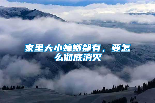 家里大小蟑螂都有，要怎么徹底消滅