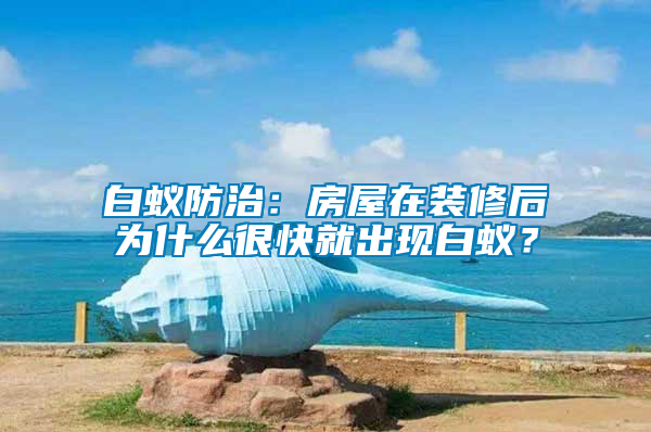 白蟻防治:房屋在裝修后為什么很快就出現白蟻?