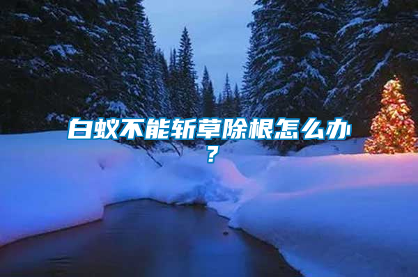 白蟻不能斬草除根怎么辦?