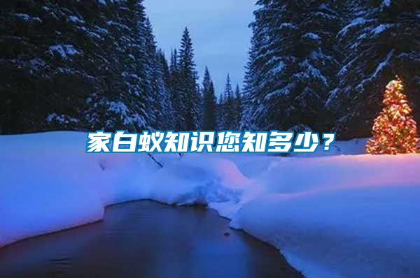 家白蟻知識您知多少?