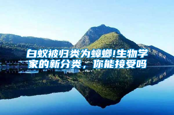 白蟻被歸類為蟑螂!生物學家的新分類，你能接受嗎