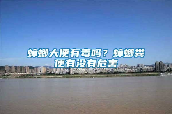 蟑螂大便有毒嗎?蟑螂糞便有沒有危害