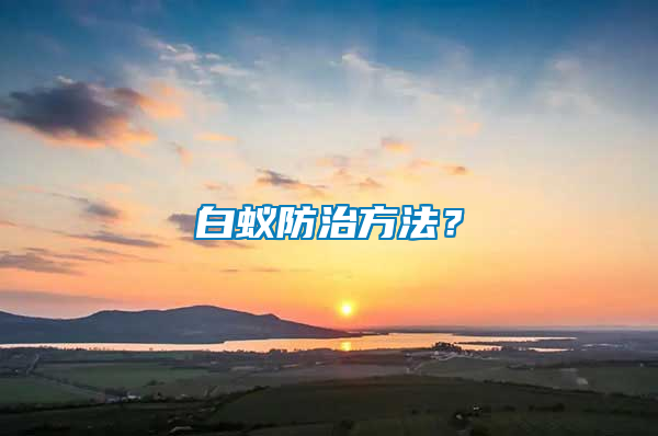 白蟻防治方法?