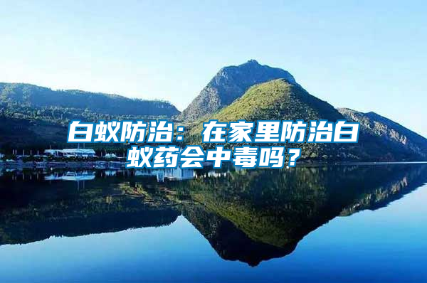 白蟻防治:在家里防治白蟻藥會中毒嗎?