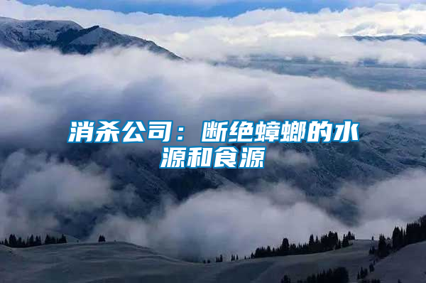 消殺公司:斷絕蟑螂的水源和食源