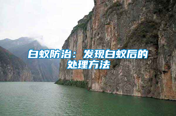 白蟻防治:發現白蟻后的處理方法