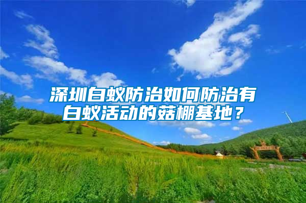 深圳白蟻防治如何防治有白蟻活動的菇棚基地?