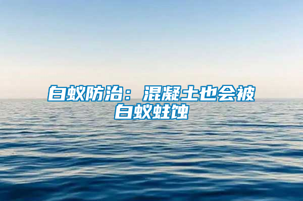白蟻防治:混凝土也會被白蟻蛀蝕