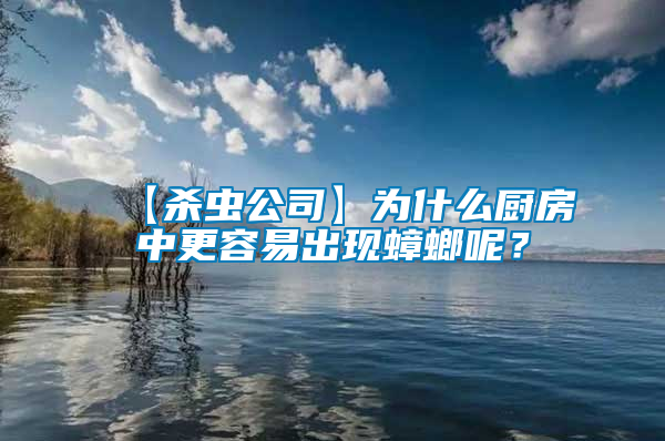 【殺蟲公司】為什么廚房中更容易出現蟑螂呢?