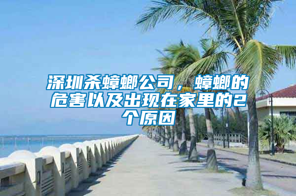 深圳殺蟑螂公司，蟑螂的危害以及出現在家里的2個原因