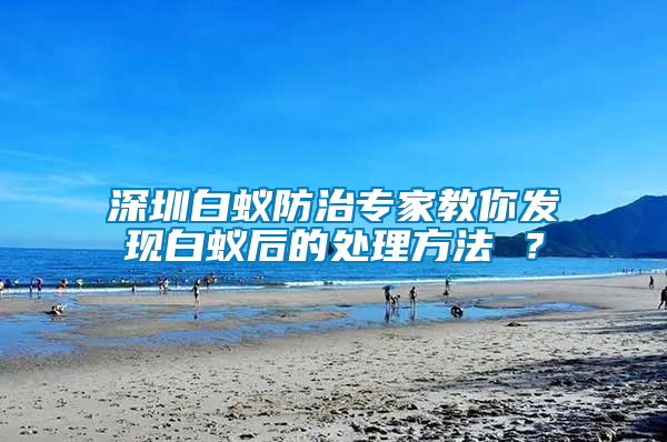 深圳白蟻防治專家教你發現白蟻后的處理方法 ？