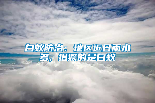 白蟻防治:地區近日雨水多, 猖獗的是白蟻