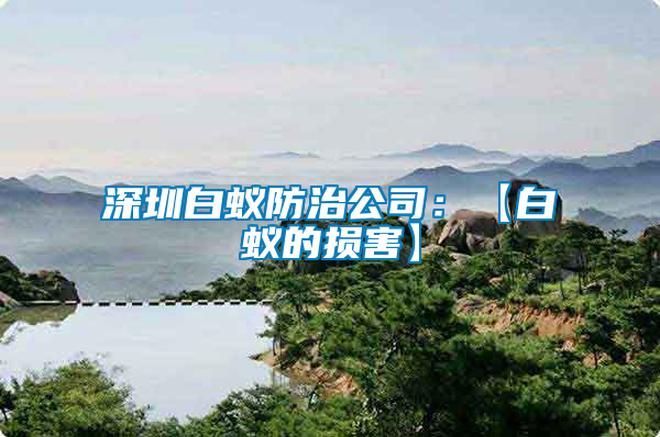 深圳白蟻防治公司:【白蟻的損害】